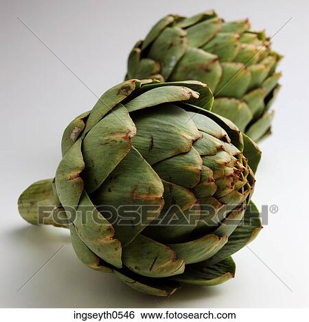 food, green, exotic vegetable, vegetable, artichoke, diet, Artichokes View Large Photo Image Stock Photograph - food, green, exotic vegetable, vegetable, artichoke, diet, Artichokes. Fotosearch