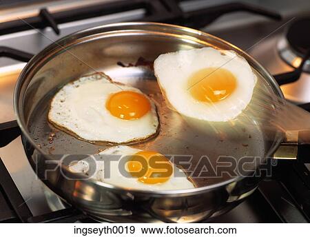 fried, eggs, fried eggs, eggs frying, grease, cooking, fried egg View Large Photo Image Stock Photo - fried, eggs, fried eggs, eggs frying, grease, cooking, fried egg. Fotosearch