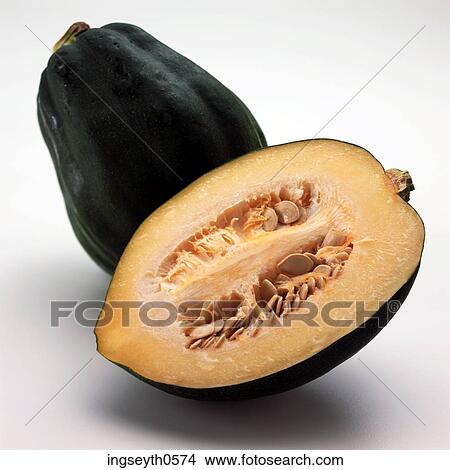 fruit, acorn, seeds, pips, Squash, Acorn Squash View Large Photo Image Picture - fruit, acorn, seeds, pips, Squash, Acorn Squash. Fotosearch