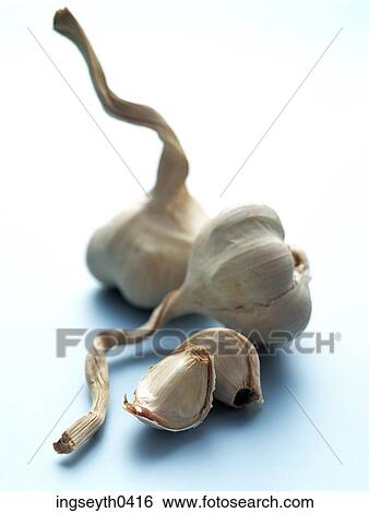 garlic, bulb, green shoots, spring, spice, vegetable, string View Large Photo Image Stock Photograph - garlic, bulb, green shoots, spring, spice, vegetable, string. Fotosearch