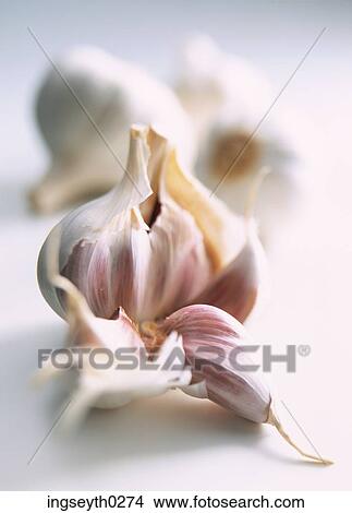 garlic, fresh, bulb, cloves, cloves View Large Photo Image Picture - garlic, fresh, bulb, cloves, cloves. Fotosearch