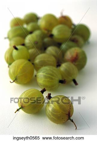 Gooseberries, gooseberry, fruit, berries, food, diet, nutritian View Large Photo Image Stock Photography - Gooseberries, gooseberry, fruit, berries, food, diet, nutritian. Fotosearch
