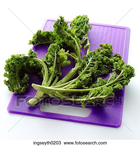 Kale, food, diet, nutritian, eat, edible, dish View Large Photo Image Stock Image - Kale, food, diet, nutritian, eat, edible, dish. Fotosearch