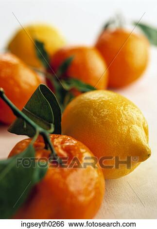 lemons, unwaxed, fresh, fruit, yellow, food, diet View Large Photo Image Stock Photograph - lemons, unwaxed, fresh, fruit, yellow, food, diet. Fotosearch