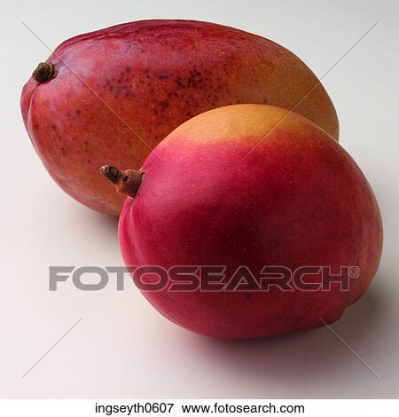 Stock Photo - Mangos, exotic fruit, fruit, healthy, Mango, food, diet. Fotosearch