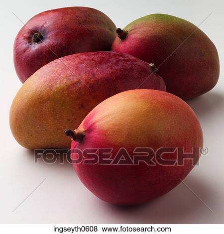 Mangos, exotic fruit, fruit, healthy, Mango, food, diet View Large Photo Image Stock Photo - Mangos, exotic fruit, fruit, healthy, Mango, food, diet. Fotosearch