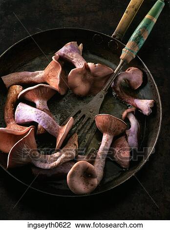 Mushrooms, cooked mushrooms, mushroom, food, diet, nutritian, eat View Large Photo Image Stock Image - Mushrooms, cooked mushrooms, mushroom, food, diet, nutritian, eat. Fotosearch