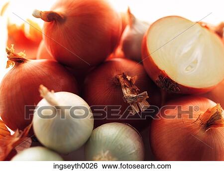 Stock Photograph - onions, onion, various onions, root vegetable, rings, shallots, shallot. Fotosearch
