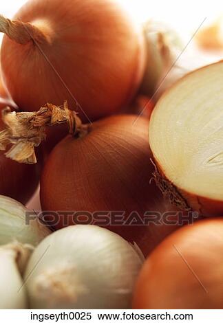 Stock Photography - onions, onion, various onions, root vegetable, rings, shallots, shallot. Fotosearch