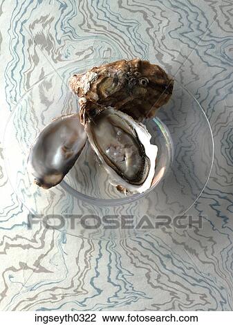 Stock Image - oyster, plate, shellfish, raw, fresh, seafood, food. Fotosearch