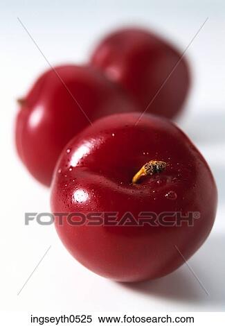 Plums, Plum, red plumb, fruit, red, food, diet View Large Photo Image Stock Photography - Plums, Plum, red plumb, fruit, red, food, diet. Fotosearch
