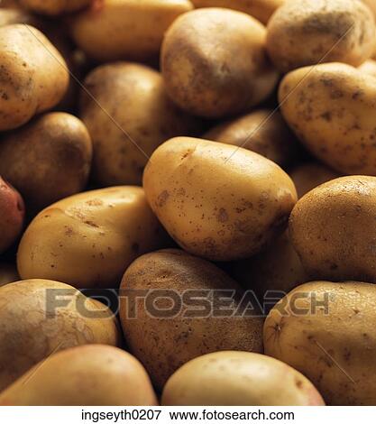 potatoes, potato, raw potatoe, uncooked potato, food, diet, nutritian View Large Photo Image Stock Photo - potatoes, potato, raw potatoe, uncooked potato, food, diet, nutritian. Fotosearch