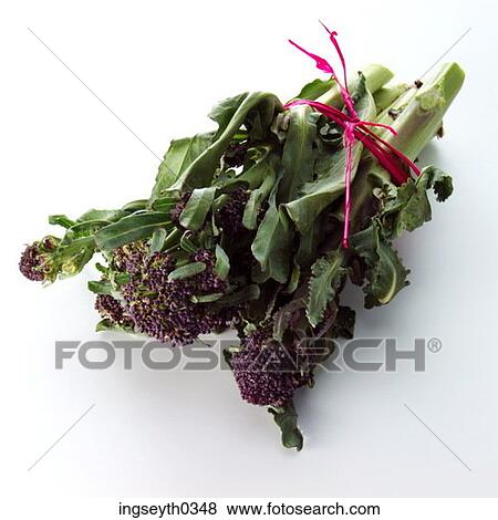Stock Photo - salad, green, lola rossa, purple leaves, green leaves, bunch, food. Fotosearch