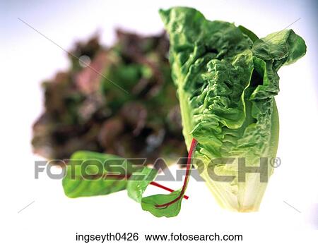 Stock Photograph - salad, leaves, green, lettuce, bowl, side dish, food. Fotosearch