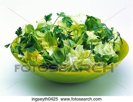 salad, leaves, green, lettuce, bowl, side dish, food View Large Photo Image Stock Photography - salad, leaves, green, lettuce, bowl, side dish, food. Fotosearch