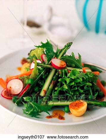 salad, lettuce leaf, cucumber, chives, radish, food, diet View Large Photo Image Stock Photo - salad, lettuce leaf, cucumber, chives, radish, food, diet. Fotosearch