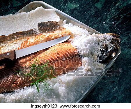 salmon in salt, salmon, fish, salt, lunch, food, diet View Large Photo Image Stock Image - salmon in salt, salmon, fish, salt, lunch, food, diet. Fotosearch