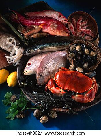Seafood, mixed seafood, fish, crab, mussels, shellfish, mullet View Large Photo Image Stock Photo - Seafood, mixed seafood, fish, crab, mussels, shellfish, mullet. Fotosearch