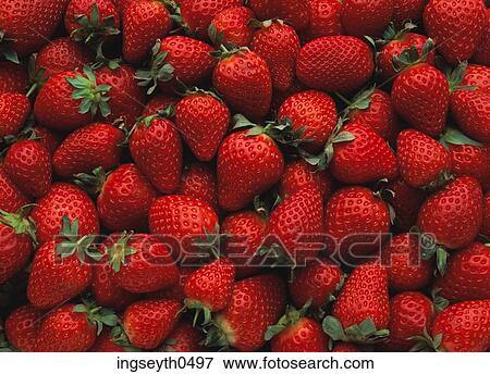 Strawberries, Strawberries, strawberry, fruit, red, background, food View Large Photo Image Stock Photo - Strawberries, Strawberries, strawberry, fruit, red, background, food. Fotosearch