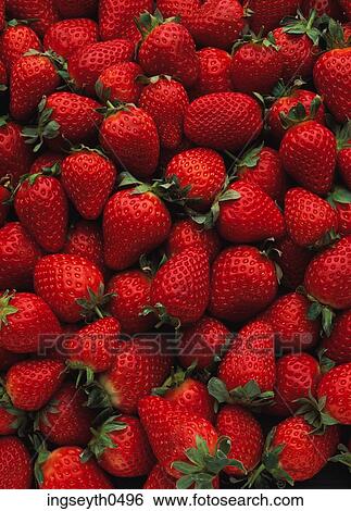 Strawberries, Strawberries, strawberry, fruit, red, background, food View Large Photo Image Stock Photograph - Strawberries, Strawberries, strawberry, fruit, red, background, food. Fotosearch