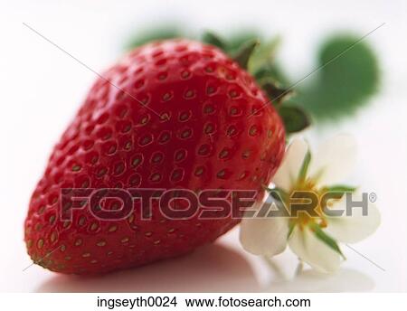 Picture - strawberry, cut strawberry, pair, two strawberries, strawberry close up, fruit, food. Fotosearch