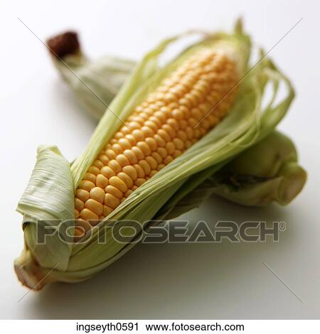 Stock Image - Sweetcorn, corn on the cob, corn, maze, yellow, vegetable, raw. Fotosearch