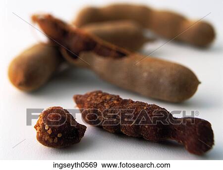 Tamarind, spice, herb, flavouring, exotic food, spicy View Large Photo Image Stock Photo - Tamarind, spice, herb, flavouring, exotic food, spicy. Fotosearch