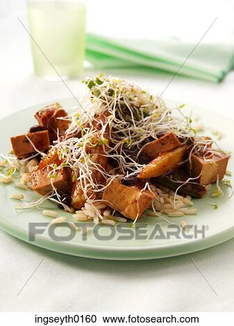 Tofu Stir Fry, stir fry, tofu, food, diet, nutritian, eat View Large Photo Image Stock Image - Tofu Stir Fry, stir fry, tofu, food, diet, nutritian, eat. Fotosearch