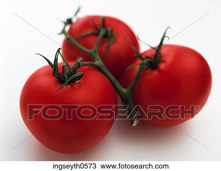 Tomatoes, tomato, red tomato, vine tomatoes, fruit, salad, food View Large Photo Image Stock Image - Tomatoes, tomato, red tomato, vine tomatoes, fruit, salad, food. Fotosearch