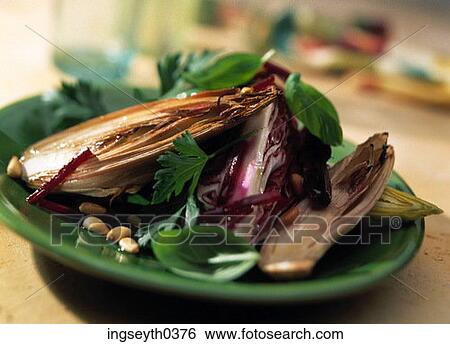 vegetable, endive, chicory, grilled, plate, side dish, accompaniment View Large Photo Image Stock Photograph - vegetable, endive, chicory, grilled, plate, side dish, accompaniment. Fotosearch