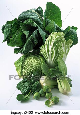 vegetable, green, bok choi, brussel sprout, cabbage, leaves, greens View Large Photo Image Stock Image - vegetable, green, bok choi, brussel sprout, cabbage, leaves, greens. Fotosearch