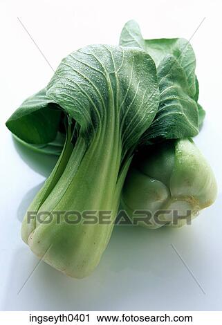 vegetable, green, bok choi, brussel sprout, cabbage, leaves, greens View Large Photo Image Stock Image - vegetable, green, bok choi, brussel sprout, cabbage, leaves, greens. Fotosearch