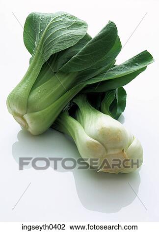 vegetable, green, bok choi, brussel sprout, cabbage, leaves, greens View Large Photo Image Stock Image - vegetable, green, bok choi, brussel sprout, cabbage, leaves, greens. Fotosearch