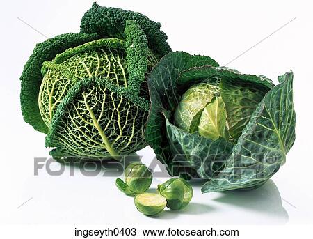 vegetable, green, bok choi, brussel sprout, cabbage, leaves, greens View Large Photo Image Stock Image - vegetable, green, bok choi, brussel sprout, cabbage, leaves, greens. Fotosearch
