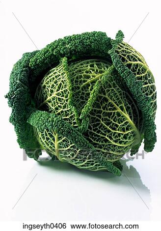 vegetable, green, bok choi, brussel sprout, cabbage, leaves, greens View Large Photo Image Stock Photograph - vegetable, green, bok choi, brussel sprout, cabbage, leaves, greens. Fotosearch