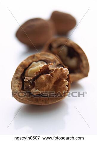 Walnuts, Walnut, nut, nuts, food, diet, nutritian View Large Photo Image Stock Photo - Walnuts, Walnut, nut, nuts, food, diet, nutritian. Fotosearch