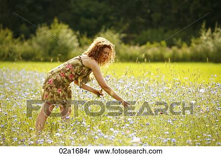 A beautiful woman picking flowers View Large Photo Image Stock Photography - A beautiful woman picking flowers. Fotosearch