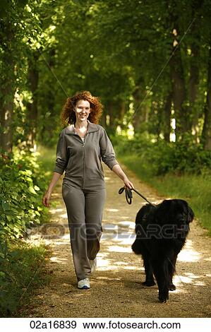 A beautiful woman walking her dog View Large Photo Image Stock Photo - A beautiful woman walking her dog. Fotosearch