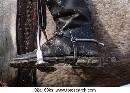 A boot in a stirrup View Large Photo Image Stock Photograph - A boot in a stirrup. Fotosearch