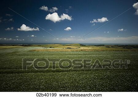 A clear day in Sussex Fields View Large Photo Image Stock Photo - A clear day in Sussex Fields. Fotosearch
