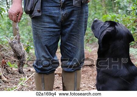 Picture - A gamekeeper holding a dead bird. Fotosearch