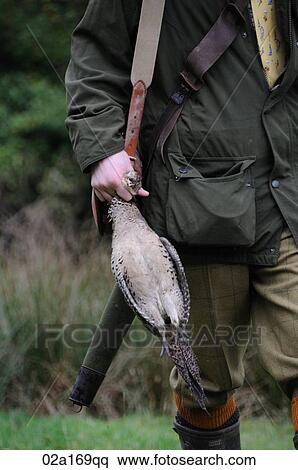A man holding a dead bird View Large Photo Image Stock Photography - A man holding a dead bird. Fotosearch