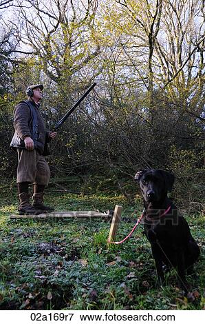 A man with a hunting with a black labrador View Large Photo Image Stock Photo - A man with a hunting with a black labrador. Fotosearch