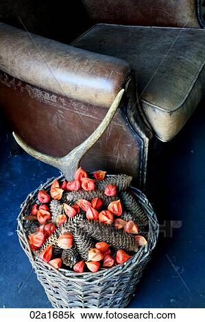 A poupouri basket beside a leather chair View Large Photo Image Stock Image - A poupouri basket beside a leather chair. Fotosearch