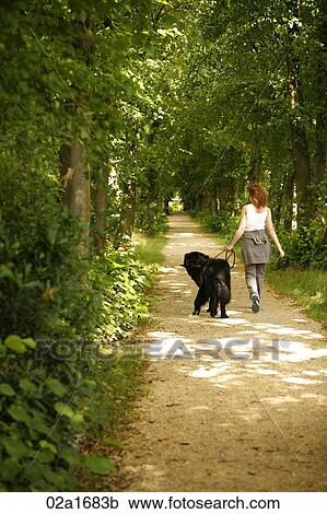 A woman walking her dog View Large Photo Image Stock Image - A woman walking her dog. Fotosearch