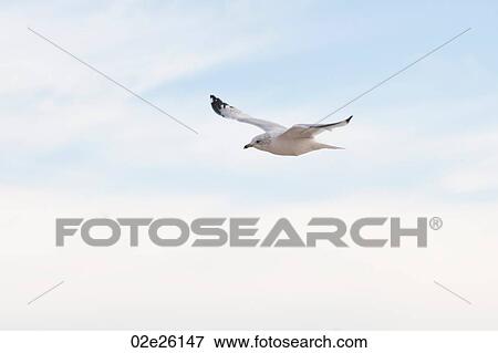 Stock Photo - Amagansett Beach, The Hamptons, New York. Fotosearch