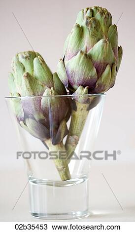 Artichokes in a glass View Large Photo Image Stock Image - Artichokes in a glass. Fotosearch