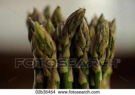Picture - Asparagus . Fotosearch