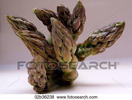 Stock Photo - Asparagus . Fotosearch