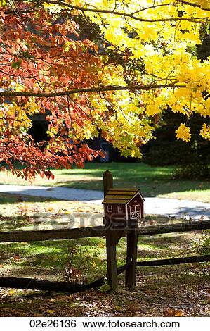 Autumn birdhouse in The Hamptons, New York View Large Photo Image Stock Photograph - Autumn birdhouse in The Hamptons, New York. Fotosearch
